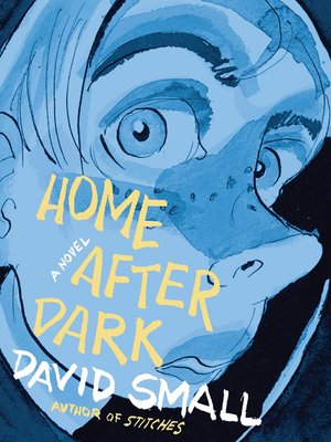 Home After Dark - ebook